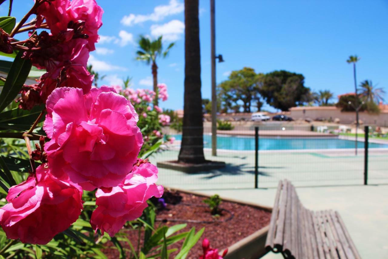 Soleado Apartamento Vistas Al Mar Los Cristianos Los Cristianos  Exteriér fotografie